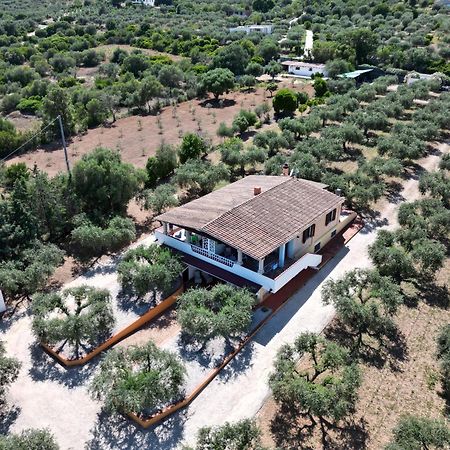 Rustico Degli Ulivi Orosei Exterior foto