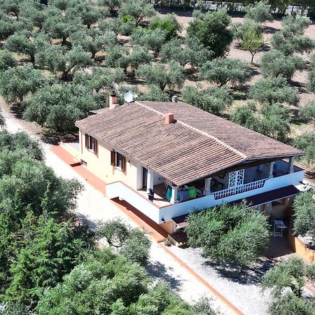 Rustico Degli Ulivi Orosei Exterior foto
