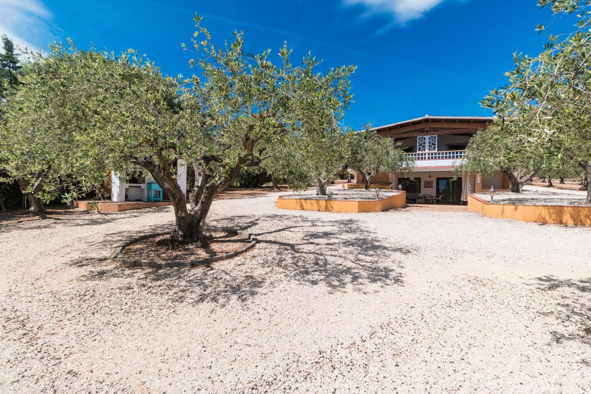 Rustico Degli Ulivi Orosei Exterior foto